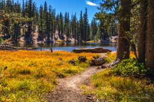 Starkweather Lake-4952.jpg Starkweather Lake-4952.jpg
